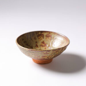 chawan_haiyu02